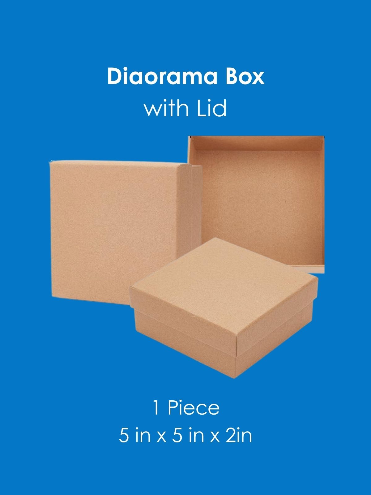 Diorama Display Box