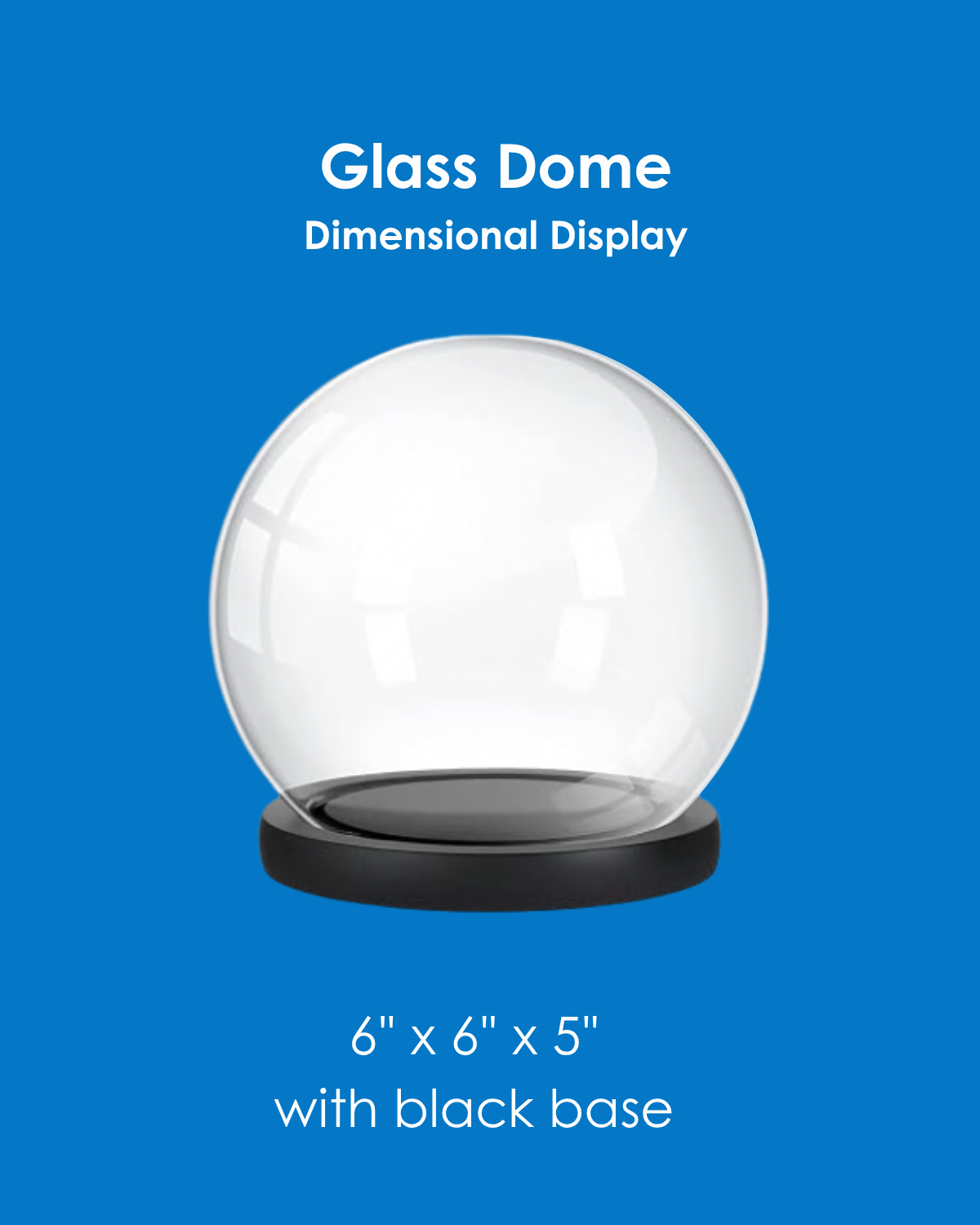 Glass Dome Display