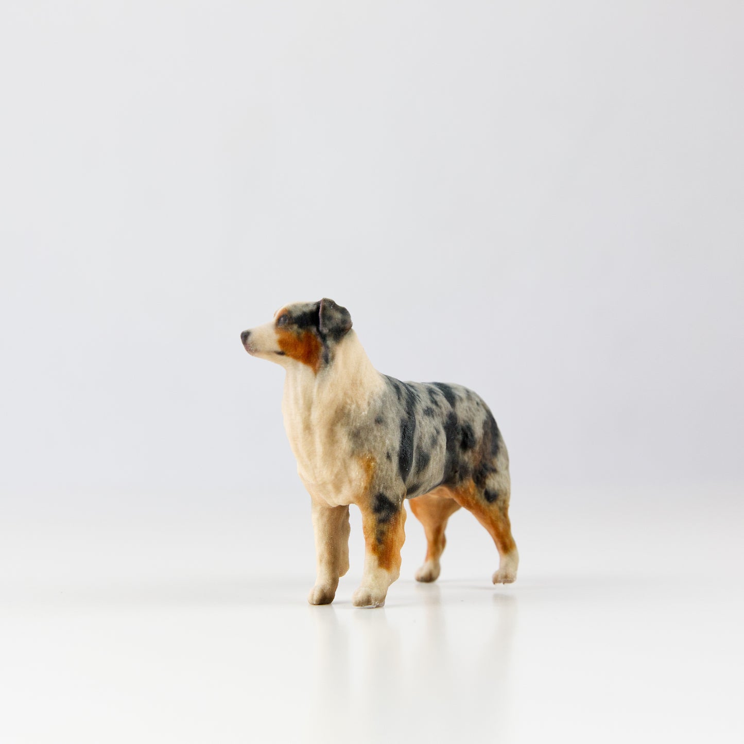 Australian Shepherd - Dog Collectible