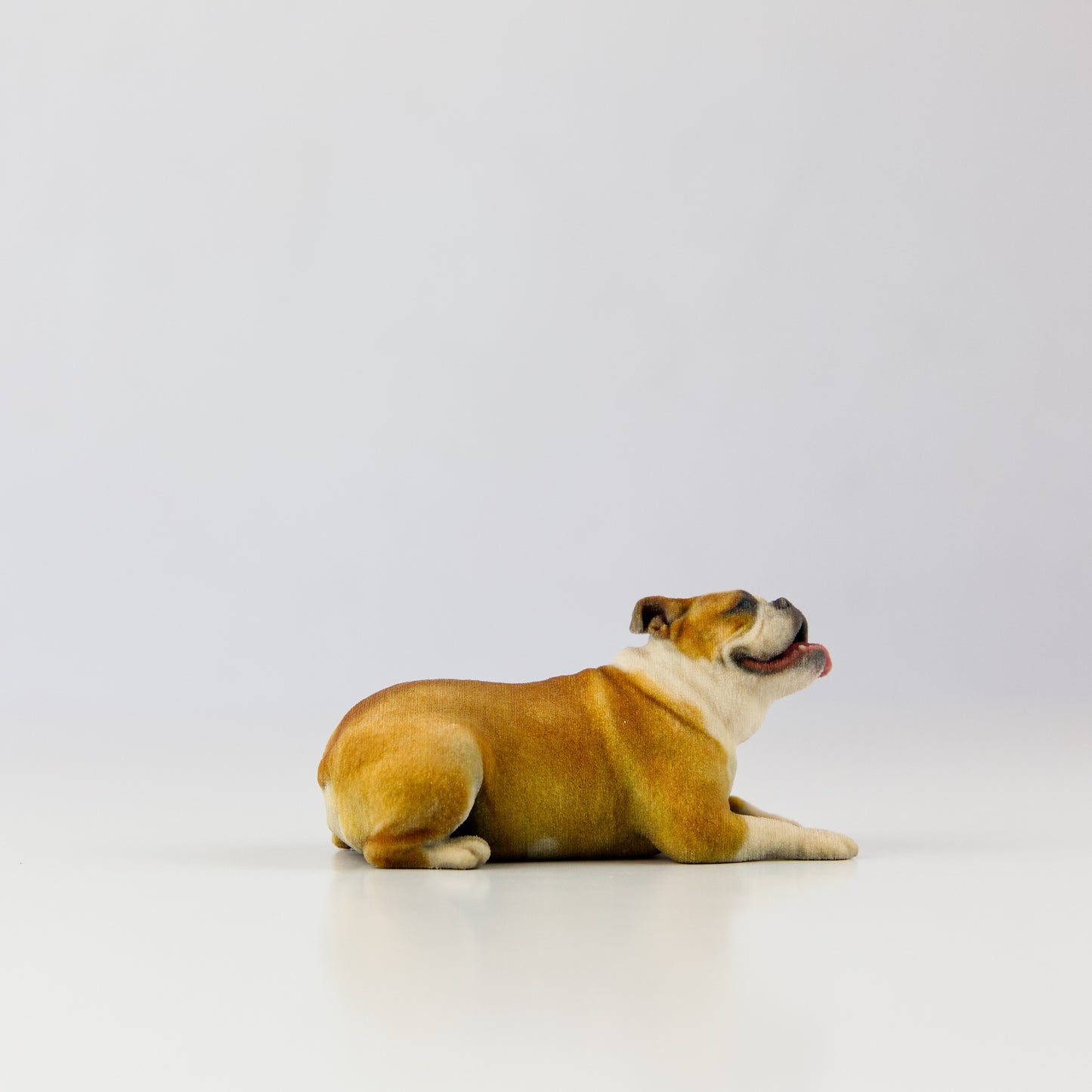 Bulldog - Dog Collectible