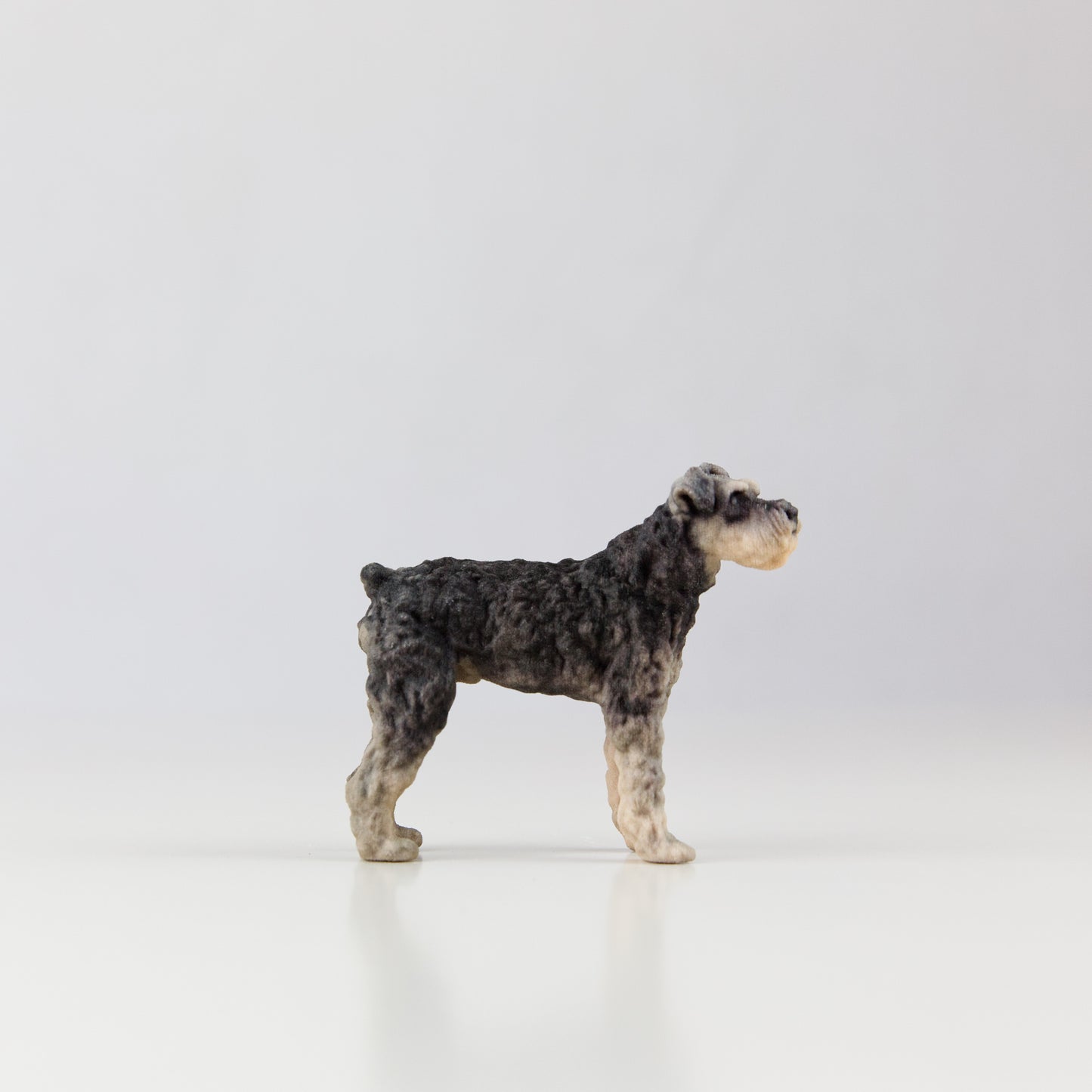 Schnauzer - Dog Collectible