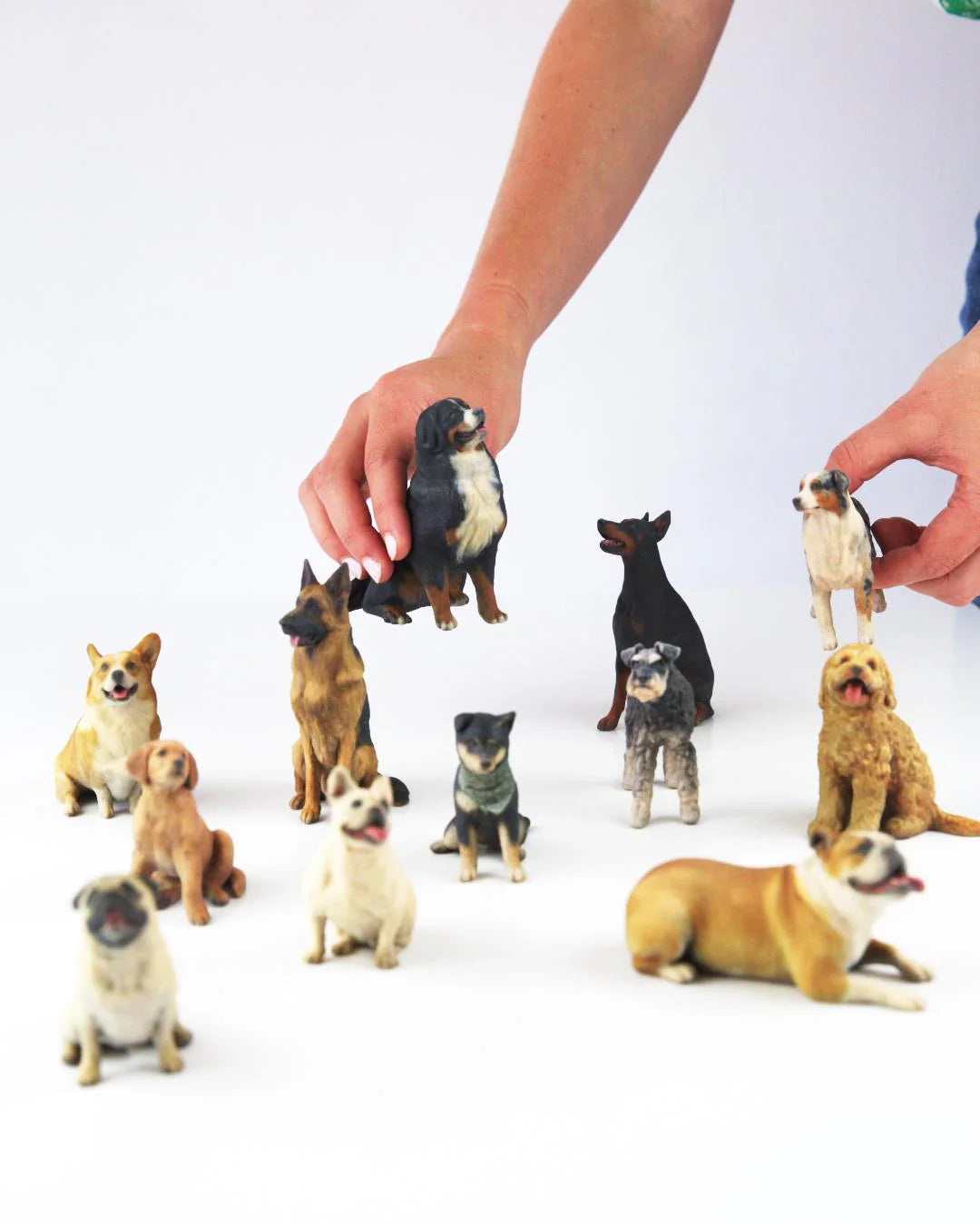 Corgi - Dog Collectible